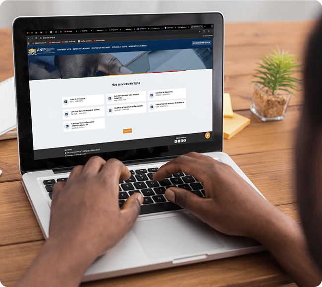 E-services gouvernementaux